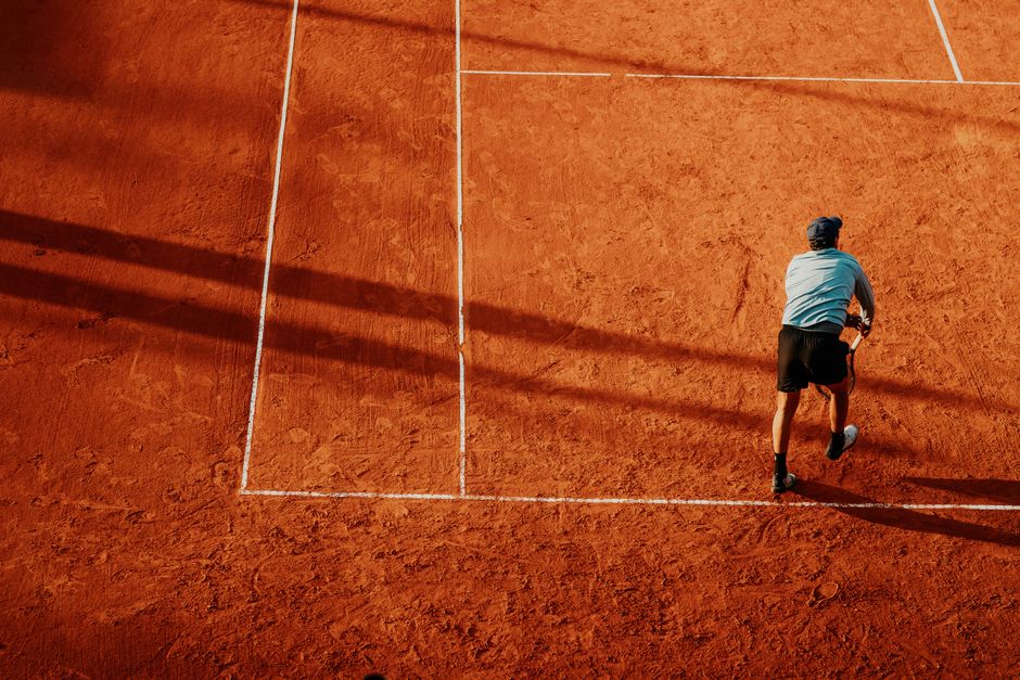 蜘蛛池引流原理深度剖析
